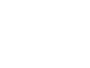 ACW Logo white 1