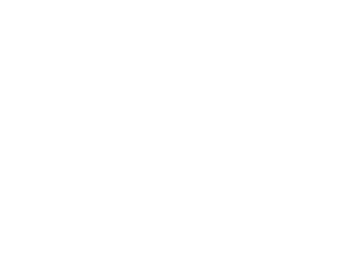ACW Logo white 1