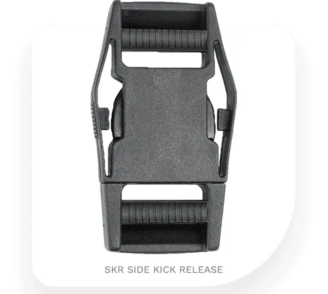 buckle transparency 1
